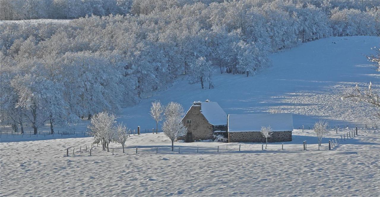 Bed and Breakfast Aux Portes D'Aubrac Studio 2 Personnes Condom-d'Aubrac Exterior foto